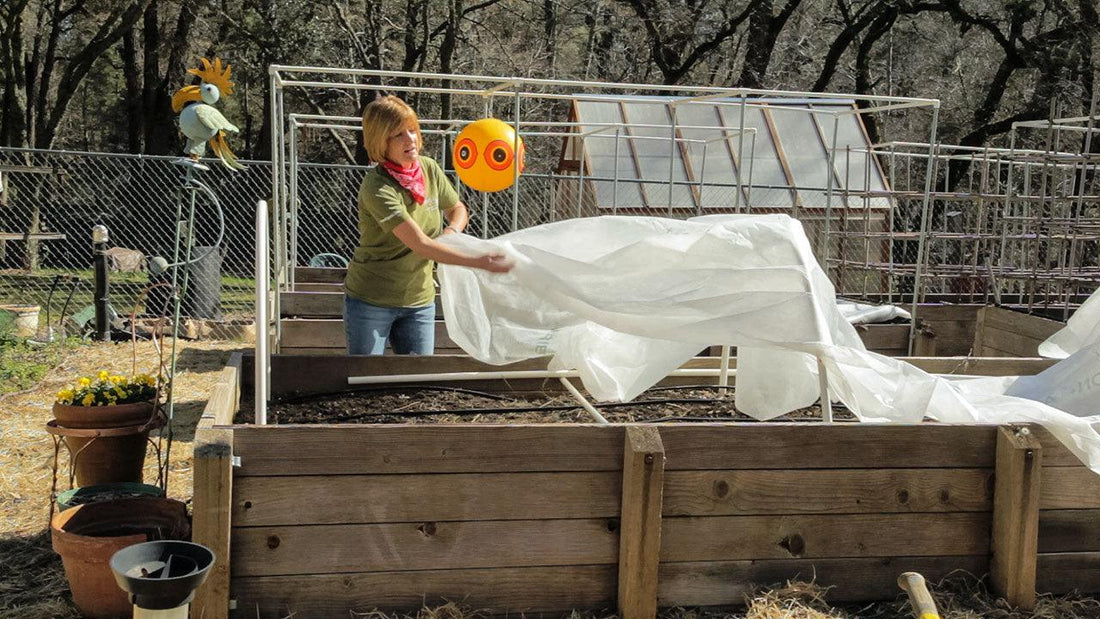Gardener installing floating row cover over raised beds