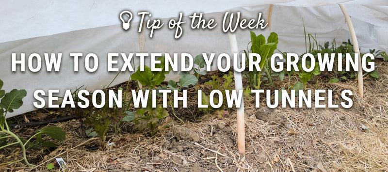 Low-tunnel season-extension guide graphic
