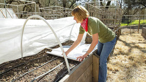 Easy Steps to Extending the Season in Your Garden