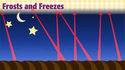 How Do Floating Row Covers Protect Plants From Frost? - Grow Organic