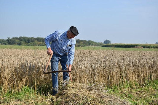 A Modern Take on Traditional Scythes - Grow Organic