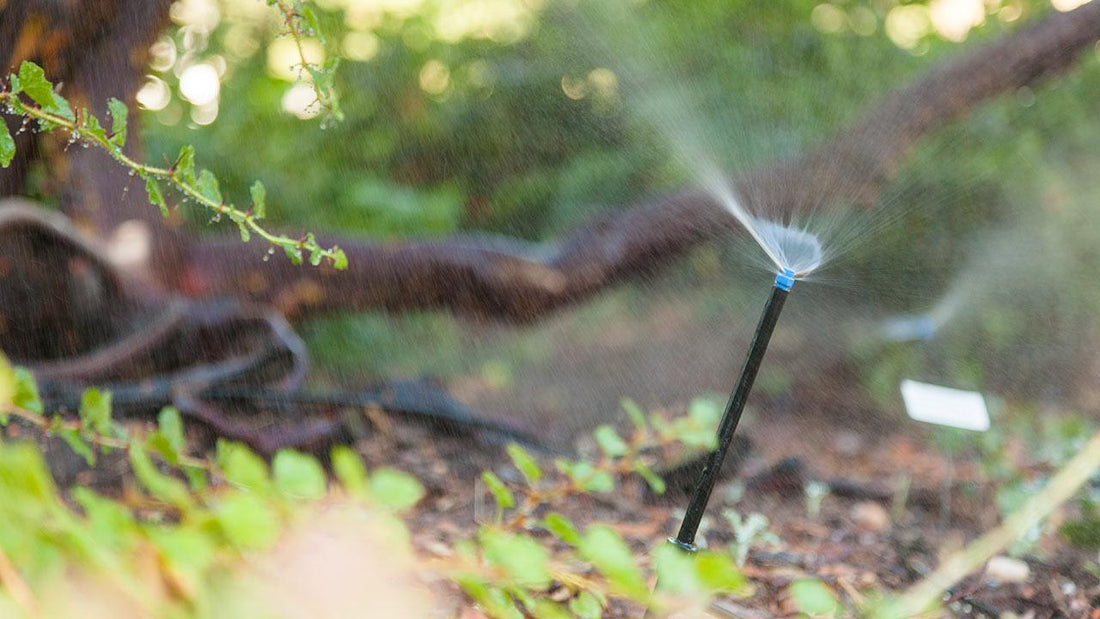 How to Solve Common Problems with Water Pressure for Drip Irrigation - Grow Organic