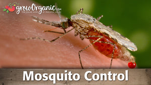 Organic Mosquito Control