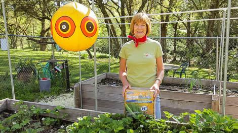 Gardener holding a bag beside a mulched raised bed