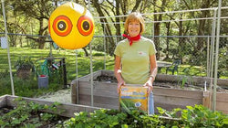 Gardener holding a bag beside a mulched raised bed
