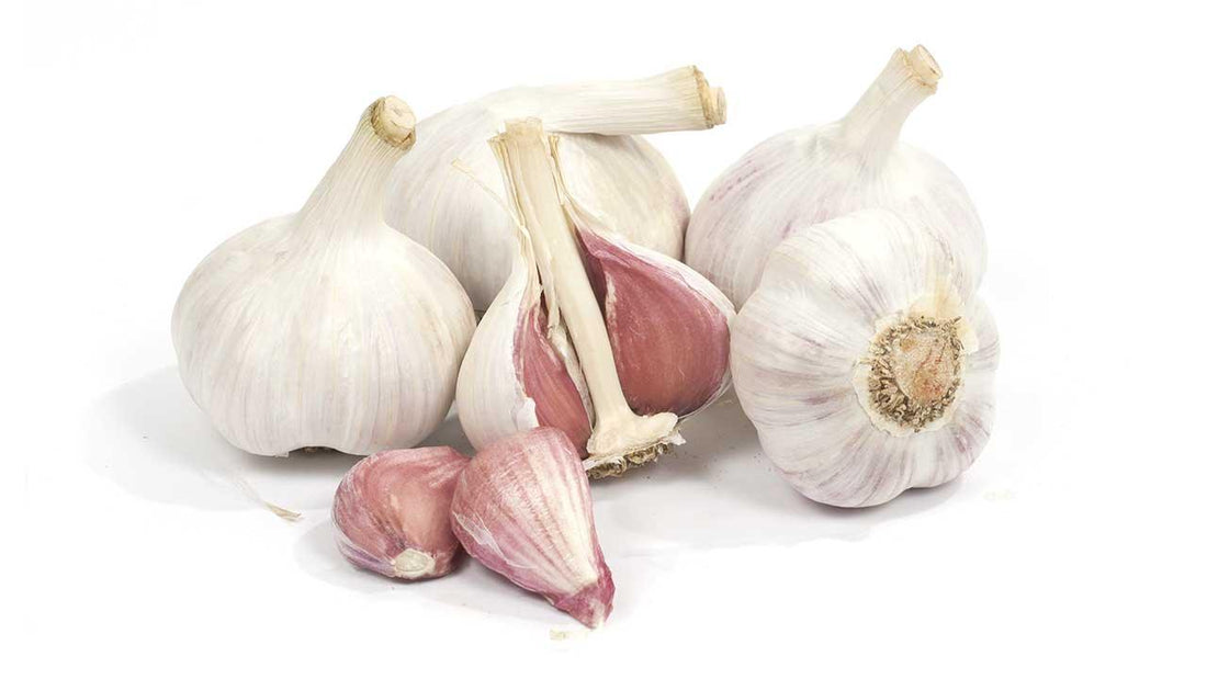 Whole garlic bulbs and separated cloves