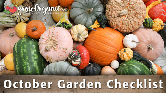 October Gardening Checklist - Things To Do In Your Organic Garden During Fall