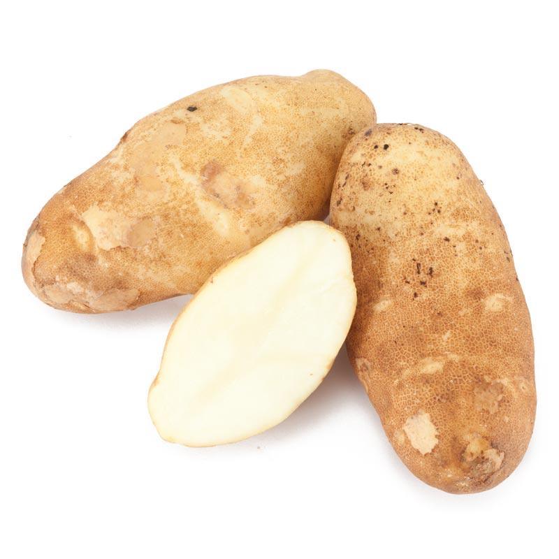 Russet Burbank Potato Net Necrosis: Pests & Diseases Guide