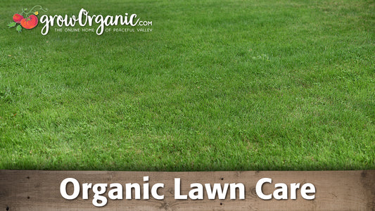 lawn care with organic products