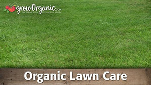 Organic Lawn Care