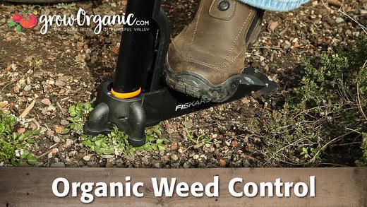Boot pressing a weed-removal tool into soil
