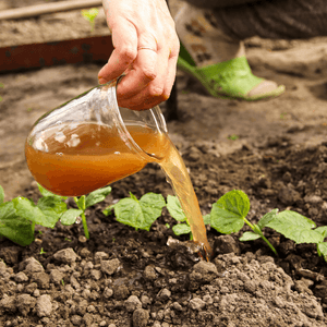 Meet the Secondary Macronutrients and the Micronutrients Your Plants Need