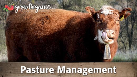 Pasture Management - Grow Organic