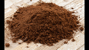 How to Use Soil Amendments - Sphagnum Peat Moss