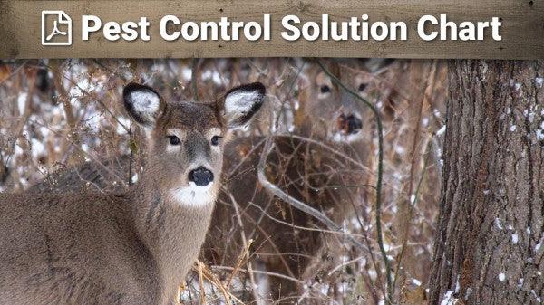 Pest Control Solution Chart – Grow Organic