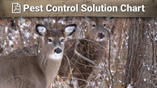 pest control solution chart