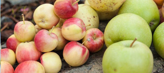 Assorted apples and pears