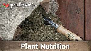 Plant Nutrition Basics (Video)
