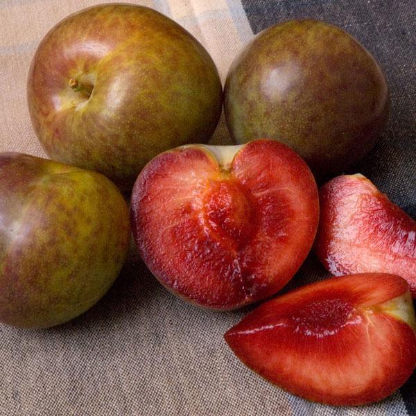 Whole and cut red-fleshed pluots