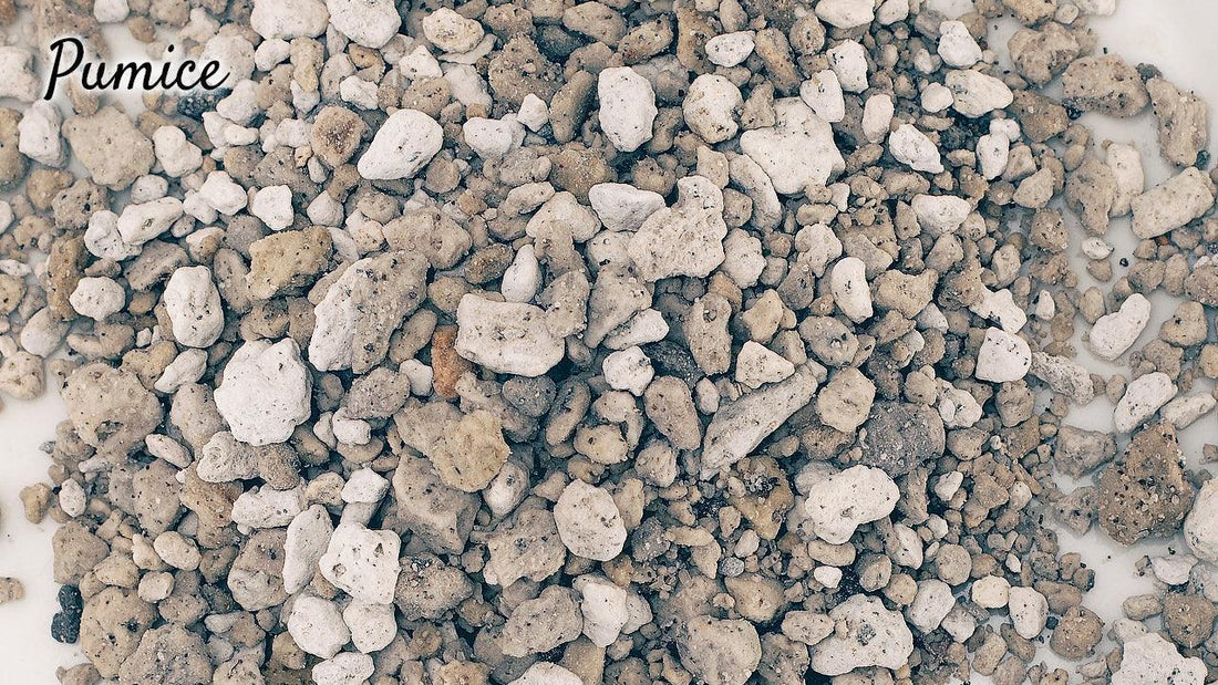 Coarse gray pumice stones