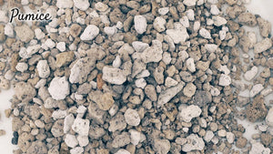 Pumice for Plants Explained: What Is It Used For and When to Use a Pumice Stone for Plants