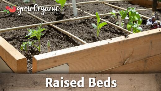 Raised garden bed with a planting grid