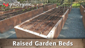 How to Build a Raised Garden Box