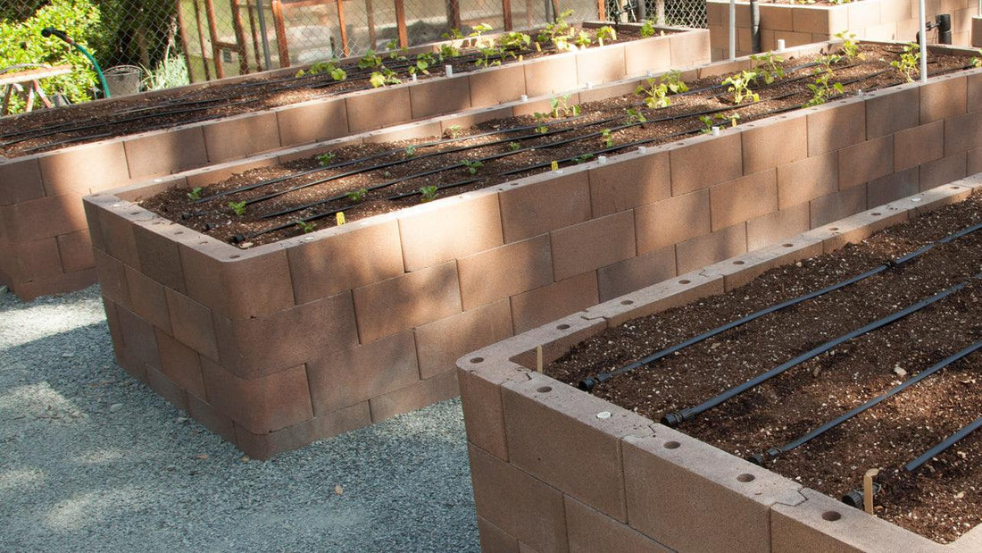 Wooden raised beds under construction