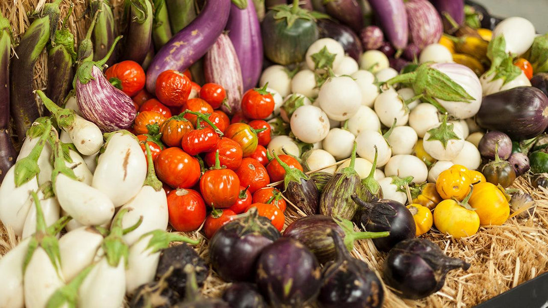 Assorted freshly harvested vegetables