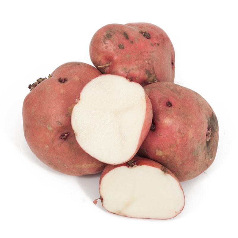 Whole and cut Red Pontiac potatoes on white