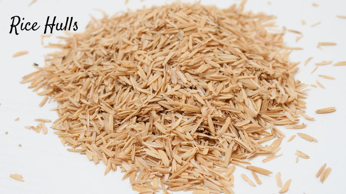 Pile of pale rice hulls