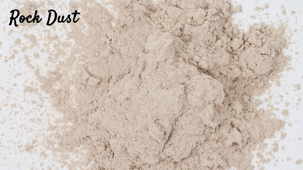 Iron Powder: Various Application Uses for This Versatile Powdered