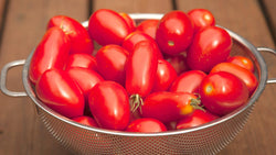 Metal colander filled with ripe tomatoes