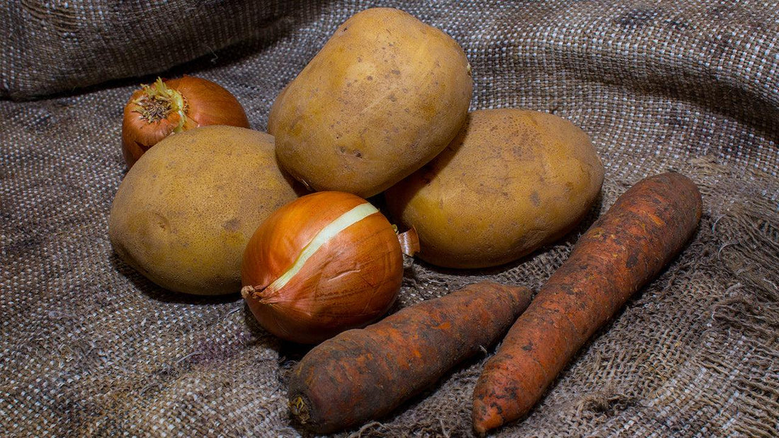 Potatoes, carrots, and onions on dark fabric