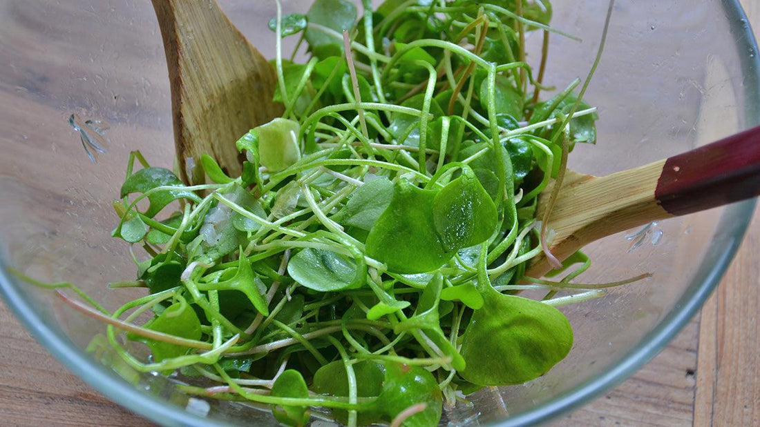 Fresh green salad in a glass bowl