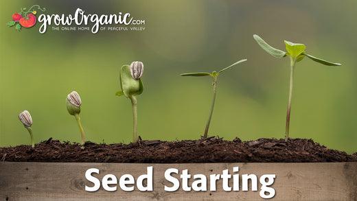 Seed Starting - Grow Organic