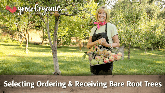 Selecting, ordering, and receiving dormant bare root trees