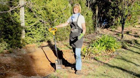Bare Root Fruit Tree Panting