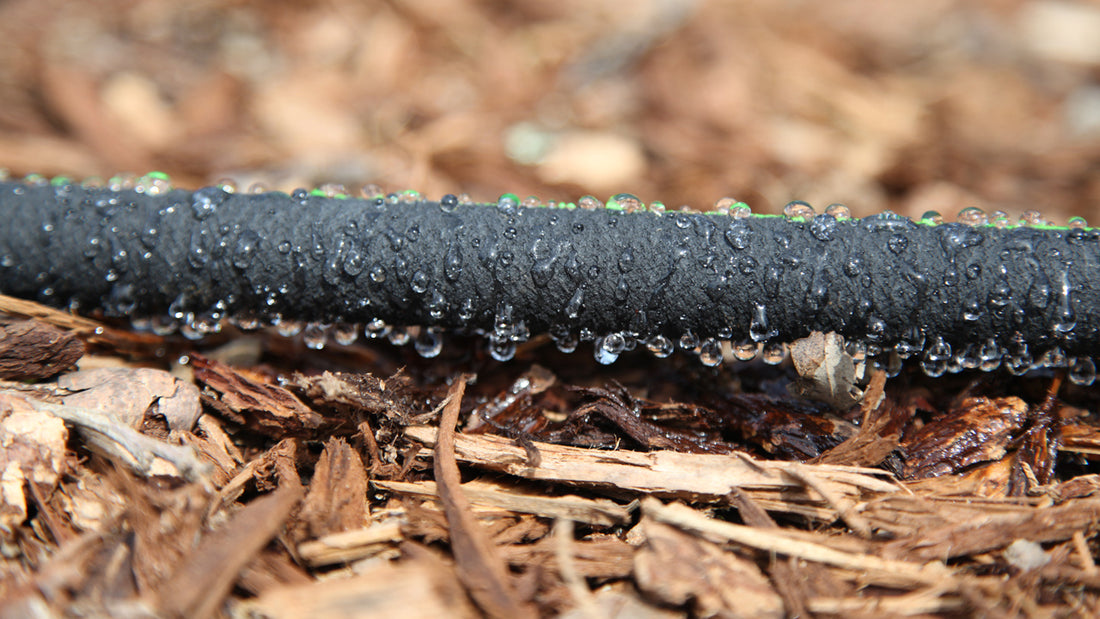 soaker hose for drip irrigation