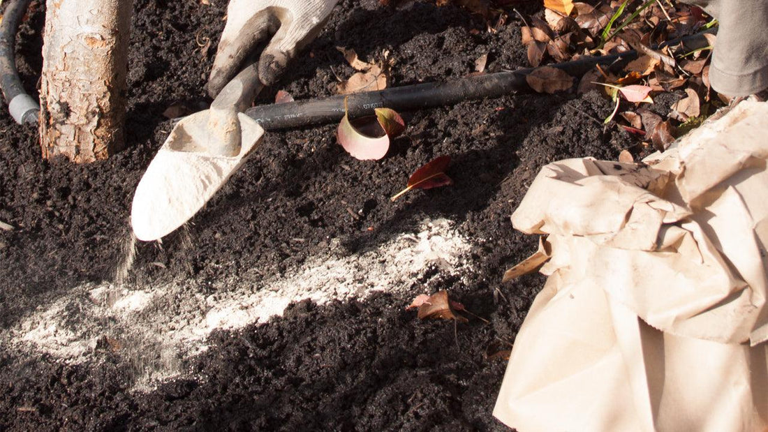 Trowel, rock phosphate, and paper bag on soil