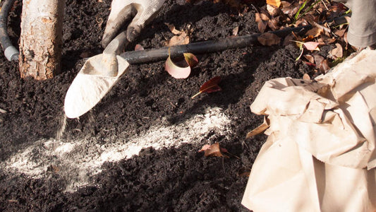 How to Use Fertilizers-Soft Rock Phosphate - Grow Organic
