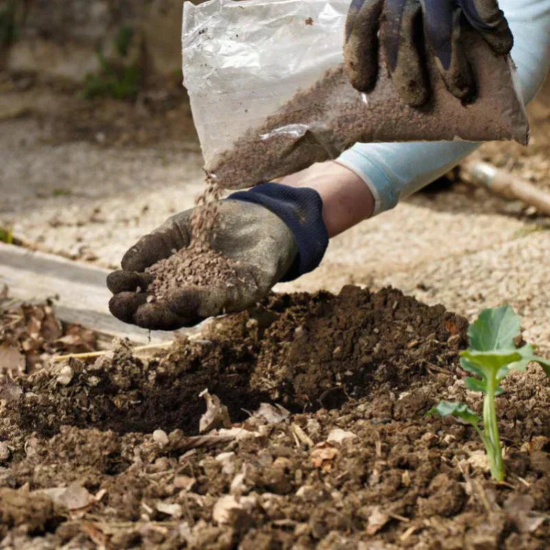 The Secret to Organic Gardening: Worm Castings & Compost
