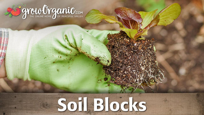 Gloved hands pressing soil into a block