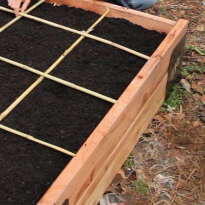 Raised bed divided into a square planting grid