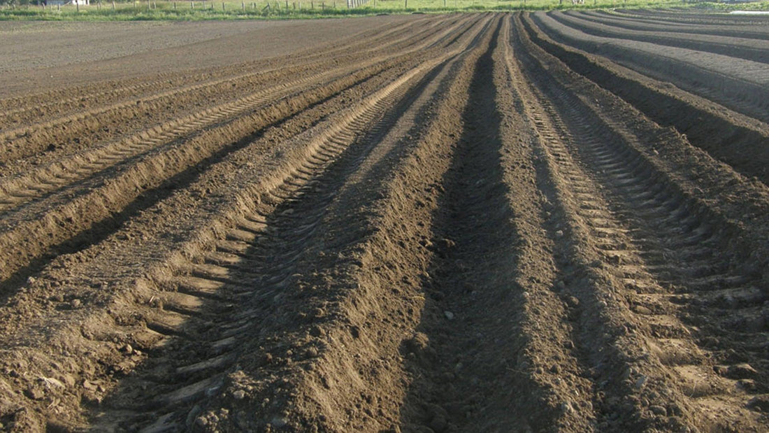 Long rows of freshly worked farm soil