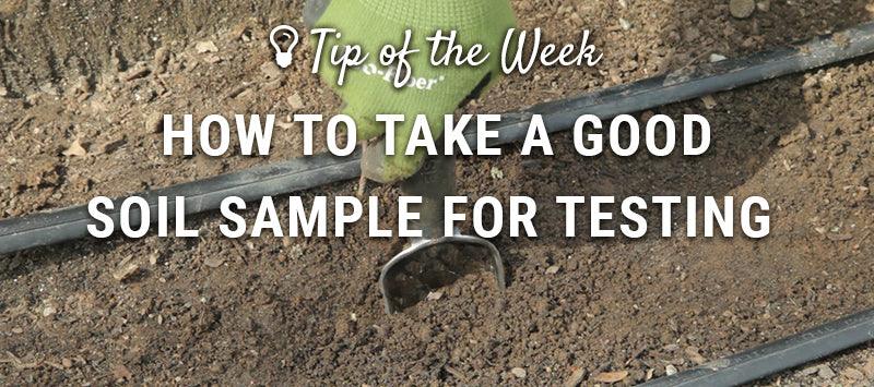 How to Take a Good Soil Sample