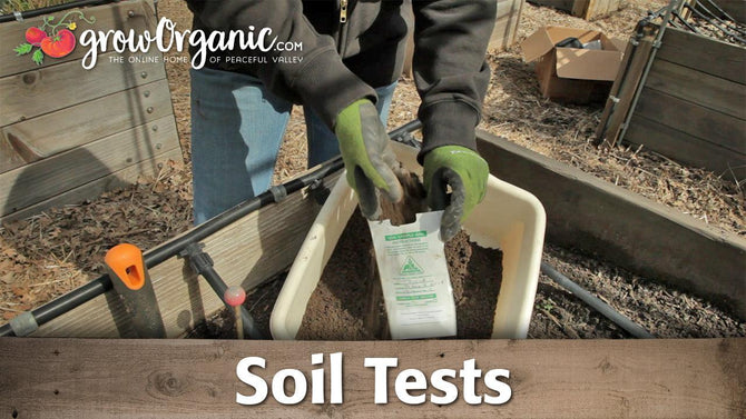 Soil testing guide graphic with garden tools