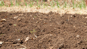Understanding Soil pH