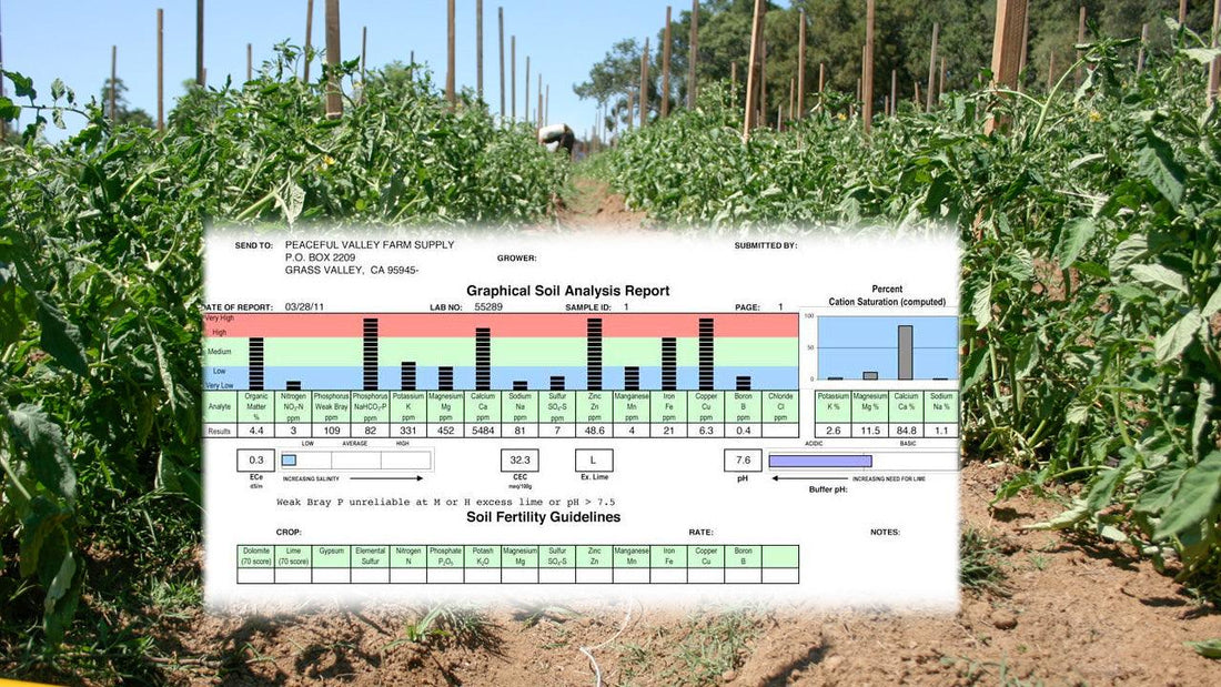 Soil-test analysis chart displayed in a crop field