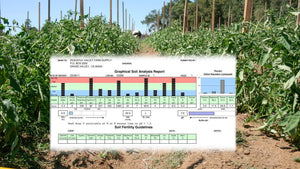 Part 1 – Understanding the Results of Your Professional Soil Test